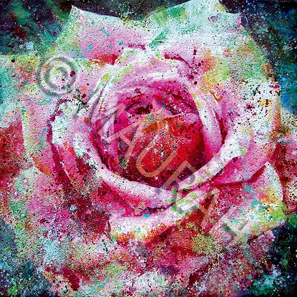 Postkarte A57 : Rose orientale